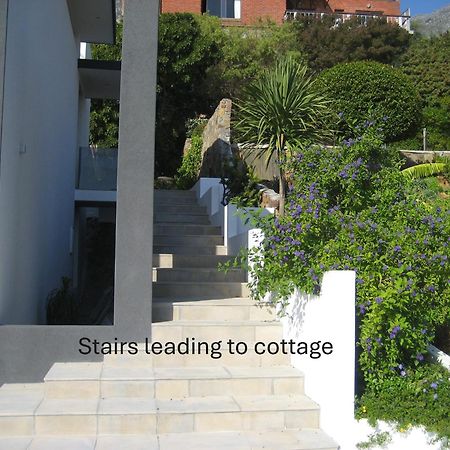 Camps Bay Cosy Accommodation Cape Town Bagian luar foto