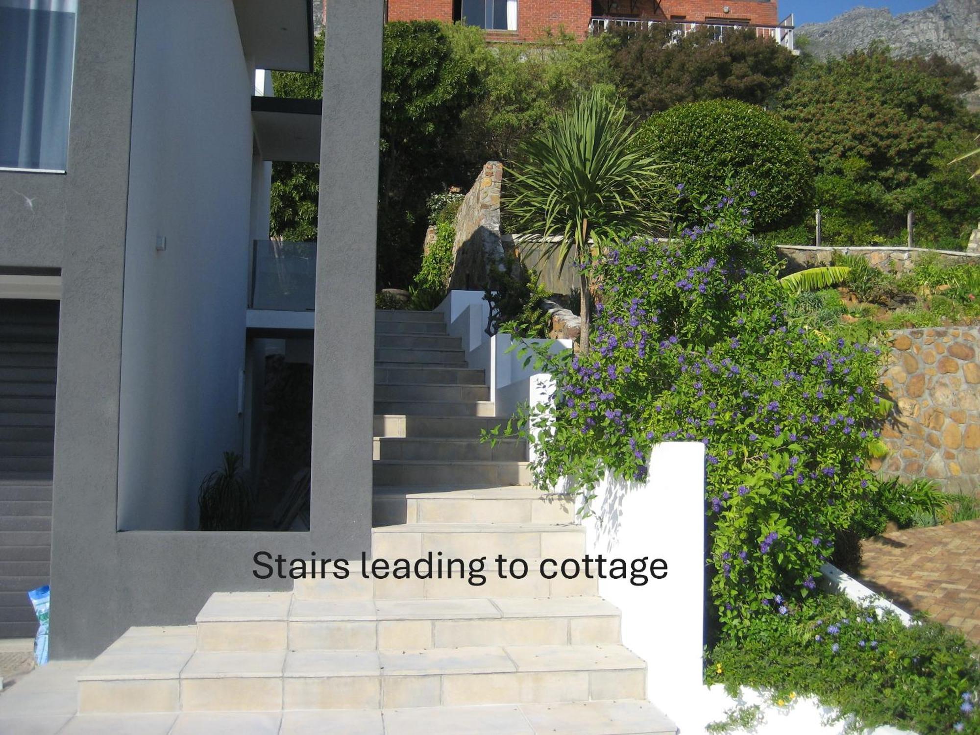 Camps Bay Cosy Accommodation Cape Town Bagian luar foto