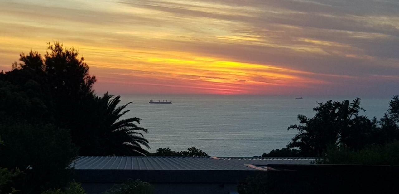 Camps Bay Cosy Accommodation Cape Town Bagian luar foto